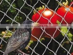 Diamond Econetting 4 x 4m White Anti Bird Net thumbnail-1