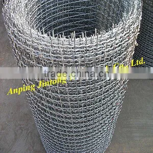 Direct Manufacturers, the High Quality Low Price Wt/mesh /001 Crimped Wire Mesh--galvanized thumbnail-1