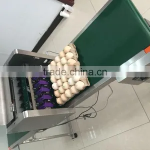 ce Approve Food Grade Egg Date Printing Machine/automatic Egg Inkjet Printer thumbnail-1