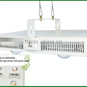 Cob Led Grow Lights 600 W Indoor Light to Grow Plants thumbnail-3