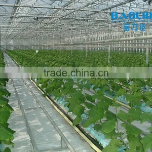 Baolida Low Cost High Performance Polycarbonate Greenhouse thumbnail-3