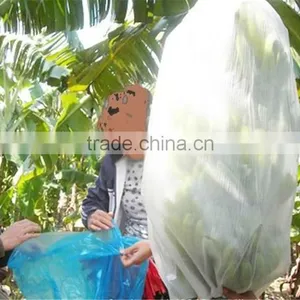 Plastic Banana Bunching Cover With 1cm Hole thumbnail-1