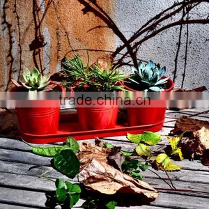 Metal Planters Set Metal Flower Pot Set With Tray for Home Decor thumbnail-4
