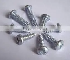 Made in Taiwan Stainless Steel 306 Standard Tapping Screw Self Tapping Screw thumbnail-1