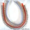 Sell Collated Drywall Screw thumbnail-1