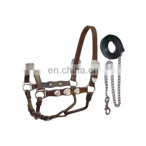 Leather Horse Halters With Chain Leads thumbnail-1