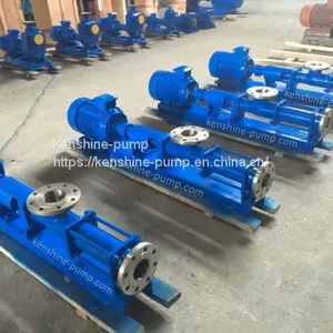 G Series Eccentric Helical Single Screw Pump thumbnail-5