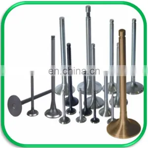 Pit Bike Dirt Bike off Road Parts Engine Valve for 150cc Race Engine Daytona thumbnail-2