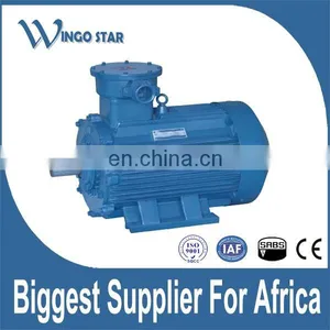 High Voltage Mining Explosion Proof ATEX Induction Electric Motor thumbnail-6