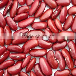 Organic Red Kidney Bean thumbnail-1