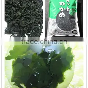 Seafood Factory Supply Roasted Wakame for Sushi and Salad thumbnail-1
