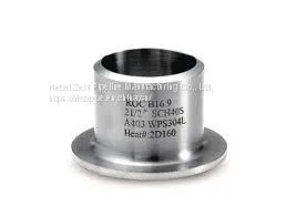 Factory Specializing in the Production of 304L Flanging thumbnail-1