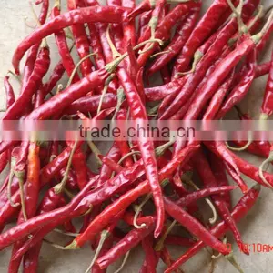 Yunnan Chilli thumbnail-1