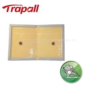 Disposable Sticky Adhesive Gel Paper Rat Mouse Glue Board Trap thumbnail-1