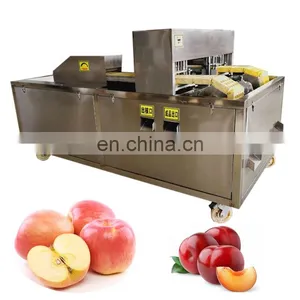Apple Coring Machine Apple Nucleation Machine thumbnail-5