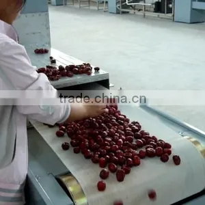 Tea Leaf Tunnel Microwave Drying Machine thumbnail-6