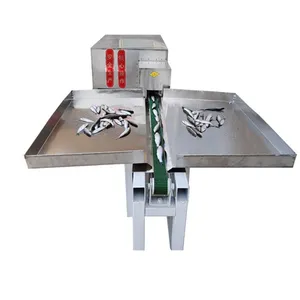 Automatic Fish Cleaner/fish Cleaning Machine/fish Descaler thumbnail-4