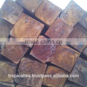 High Quality Sindora Big Size Cambodia Wood thumbnail-1