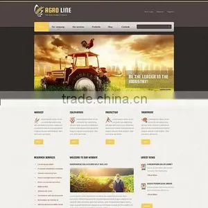 Web Design and Development Company thumbnail-5