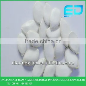 Chinese Shop Online Plant Seeds for Agricultural Snow White Pumpkin Seeds thumbnail-1