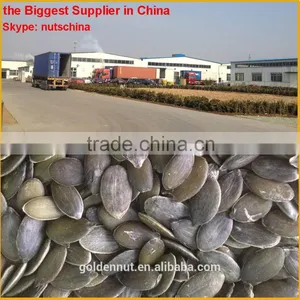 Pumpkin Kernels Grown Without Shell AAA/AA/A/OIL GRADE thumbnail-6