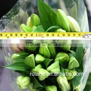 Promotional 2016 New Wedding Bouquet Fresh Pink Lilies From Kunming thumbnail-5