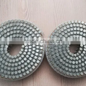 Polish/galvanized/painting 15 Degree Plastic Sheet Coil Nails thumbnail-1
