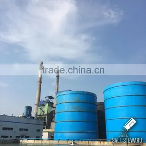 High Quality Sodium Sulphate Anhydrous thumbnail-4
