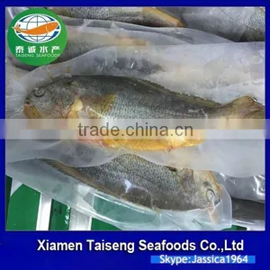 China Seafood Supplier Frozen Yellow Croaker With Good Quality thumbnail-1