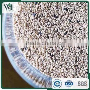 Reliable Pakistan White Sesame Supplier thumbnail-4