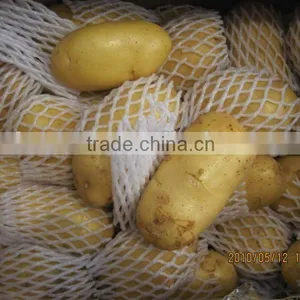 Fresh Potato thumbnail-1