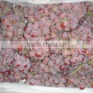 Fresh Style and Grapefruit Type Fresh Fruit From China thumbnail-5