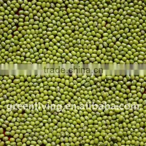 2011 Chinese Green Mung Bean(cheapest Price) thumbnail-1