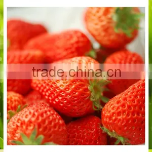 Best Price Fresh Strawberry thumbnail-2