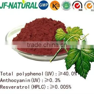 Polyphenol Grape Seed ISO, GMP, HACCP, KOSHER, HALAL Certificated thumbnail-4