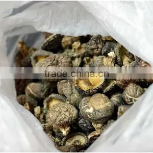 Factory Direct Sale Export Mushroom Price Dried Shitake thumbnail-4
