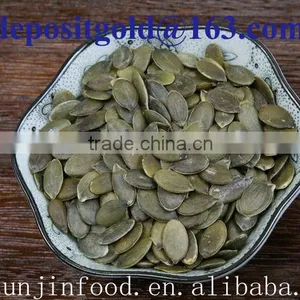 Grown Without Shell Pumpkin Seeds Grade AA thumbnail-6