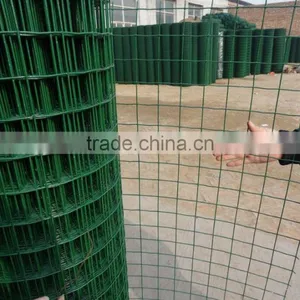 Green Pvc Coated Welded Holland Wire Mesh thumbnail-2