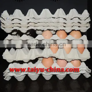 Manufacturer Pulp Paper Egg Packaging Tray thumbnail-1