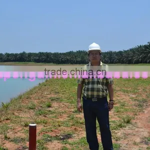 Most Popular Bottom Price in Africa 40TPH Palm Oil Equipment thumbnail-4