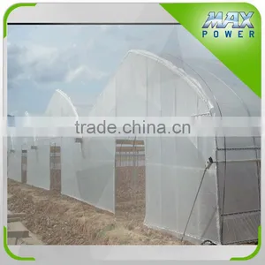Mini Film Vegetalbe Greenhouse From Maxpower thumbnail-4