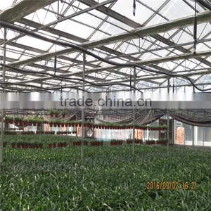 Hot Sale Poly Green House in India thumbnail-2