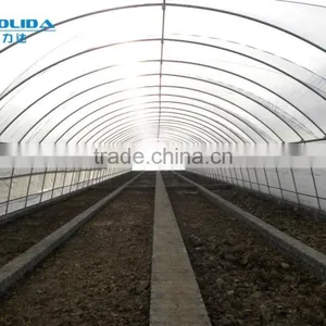 Polythene Film Greenhouse For Agriculture thumbnail-3