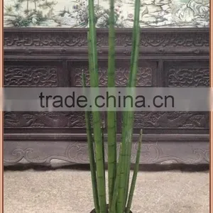 Artificial Succulent Sansevieria Cylindrica Plant thumbnail-2