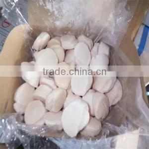 Cooked Frozen High Quality Scallop Shell thumbnail-1