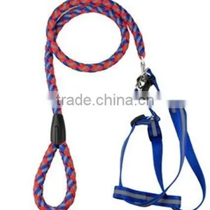 Dog Leash thumbnail-1