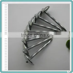 E.G. Umbrella Head Roofing Nails With Low Price From China thumbnail-4