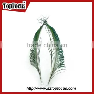 Pack Best Natural Peacock Feathers Long Genuine Halloween Peacock Feather Dress thumbnail-6