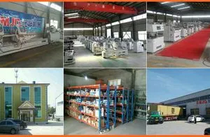 Shandong CCI Trade Co., Ltd. company overview - view 1 thumbnail