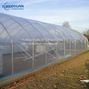 UV Protection Ldpe Plastic Film Tunnel Plastic Greenhouse Film for Agriculture thumbnail-3